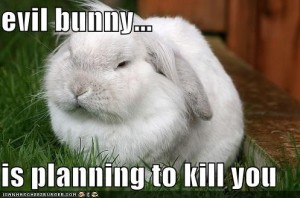 evil bunny